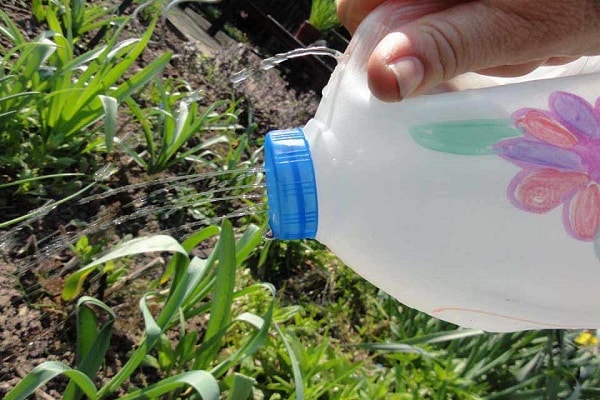 Tái chế chai nhựa để tưới nước cho cây