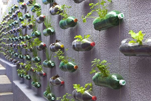 Tái chế chai nhựa để trồng cây